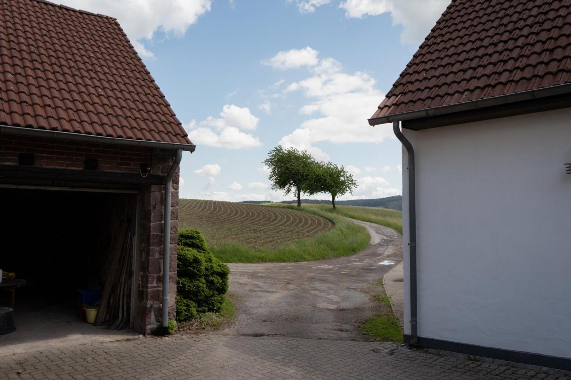 Idyllische Ferienwohnung Im Kalletal Exterior photo